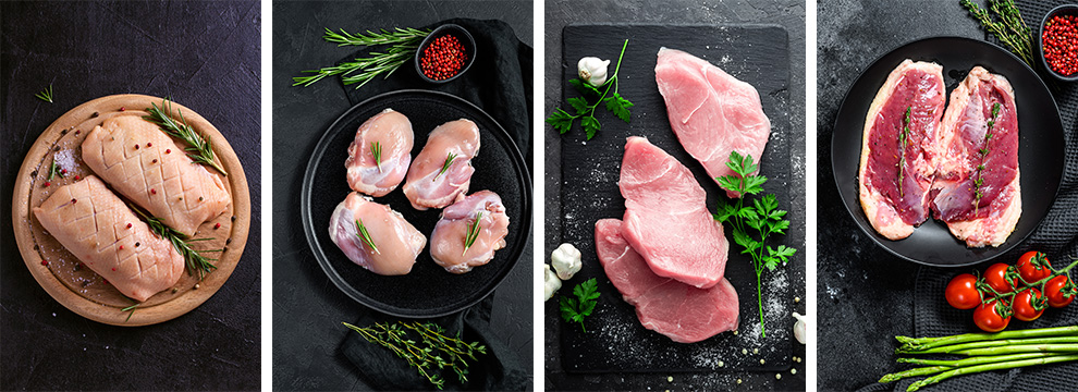 Brazilian poultry export: chicken, turkey and duck meat